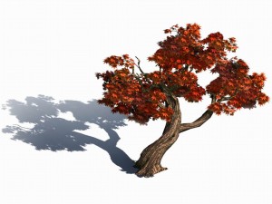 forest - maple 9903 Modelo 3D