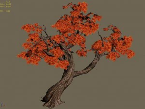 forest - maple 9903 3D Model