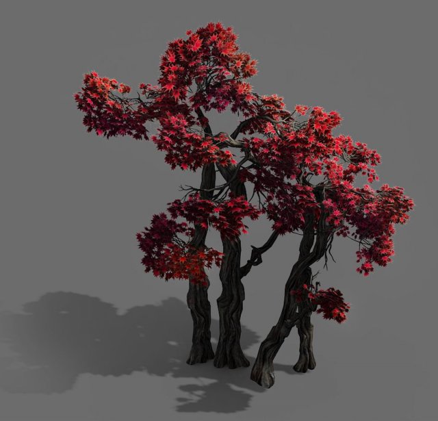 forest - maple 9904 3D Model .c4d .max .obj .3ds .fbx .stl .blend 