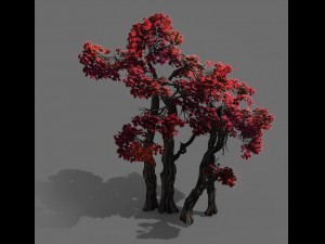 forest - maple 9904 3D Model