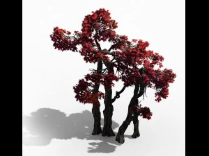 forest - maple 9904 3D Model