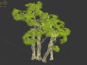 forest - maple 9904 3D Model