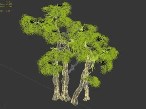 forest - maple 9904 3D Model