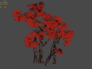 forest - maple 9904 3D Model