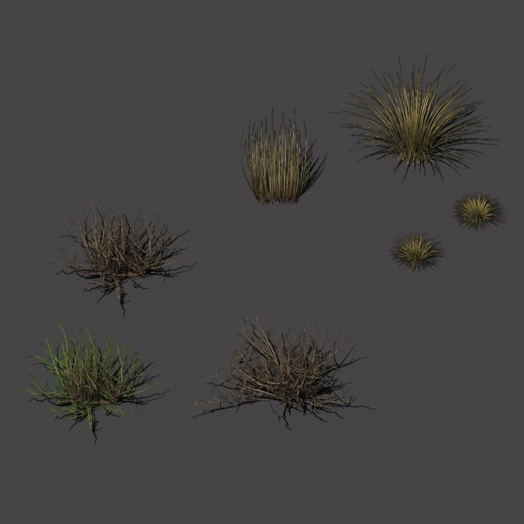 desert plants - hay 272 3D Model .c4d .max .obj .3ds .fbx .stl .blend