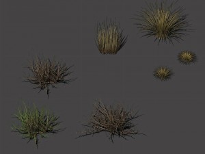 desert plants - hay 272 3D Модель