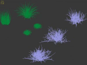 desert plants - hay 272 3D Model