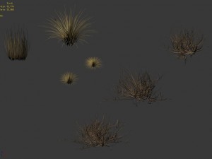 desert plants - hay 272 3D 模型