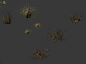 desert plants - hay 272 3D Model