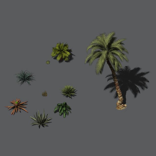 desert plants - hay grass 273 3D मॉडल .c4d .max .obj .3ds .fbx .stl .blend 