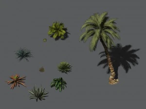 çöl bitkileri - saman otu 273 3D Model