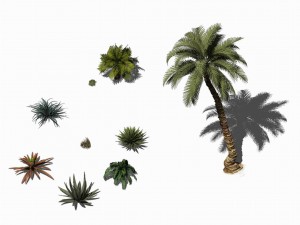desert plants - hay grass 273 3D मॉडल