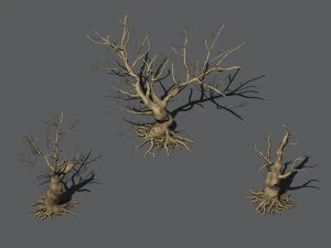 desert plants - dead trees 271 3D Model