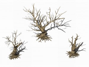 desert plants - dead trees 271 Modèle 3D