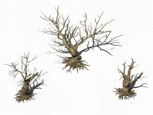 desert plants - dead trees 271 3D Model