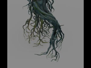 mountain plants - big tree roots Model 3D