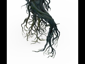 mountain plants - big tree roots Model 3D
