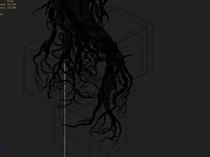 mountain plants - big tree roots Model 3D