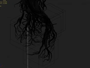 mountain plants - big tree roots 3D Model
