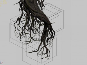 mountain plants - big tree roots Model 3D