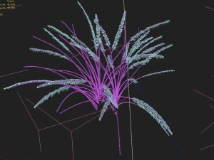 mountain plants - dog tail grass 01 Modelo 3D
