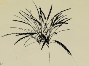 mountain plants - dog tail grass 01 Modelo 3D