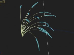 mountain plants - dog tail grass 03 3D Modell
