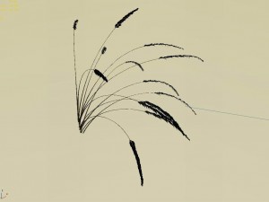 mountain plants - dog tail grass 03 3D Modell
