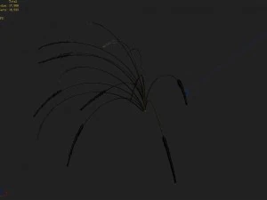 mountain plants - dog tail grass 04 3D Model