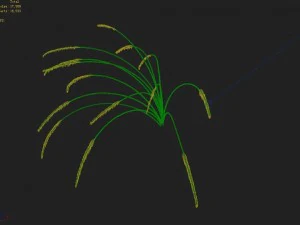 mountain plants - dog tail grass 04 3D Model