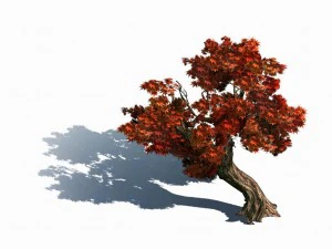 mountain plants - shrubs 04 3D Model