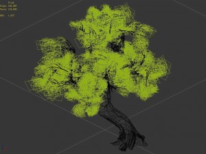mountain plants - shrubs 04 Modelo 3D