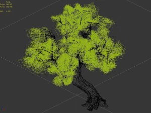 mountain plants - shrubs 04 3D Model
