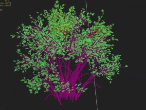 mountain plants - shrubs 05 3D Model