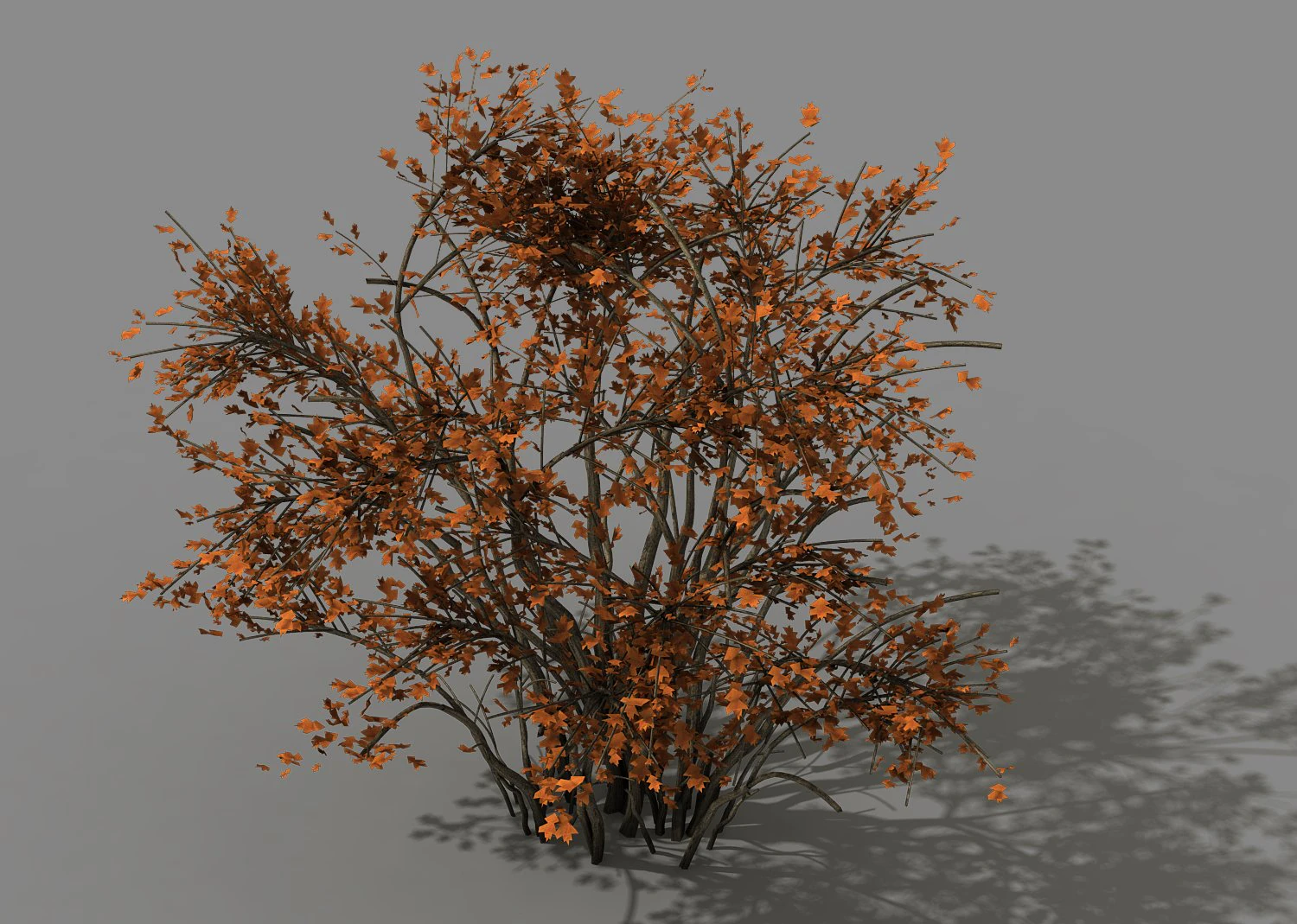 mountain plants - shrubs 06 3D Model .c4d .max .obj .3ds .fbx .stl .blend 