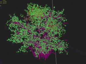 mountain plants - shrubs 06 3D Model