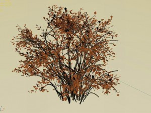 mountain plants - shrubs 06 3D मॉडल