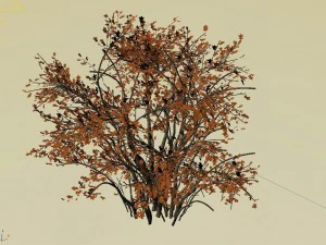 mountain plants - shrubs 06 3D Model