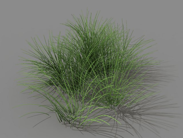 mountain plants - flowers 03 3D 모델 .c4d .max .obj .3ds .fbx .stl .blend 