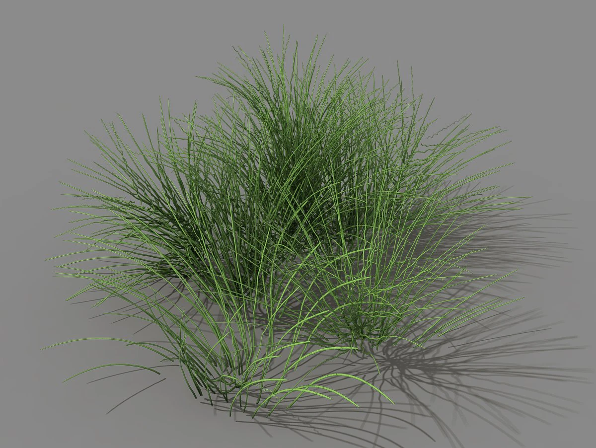 mountain plants - flowers 03 3D Model .c4d .max .obj .3ds .fbx .stl .blend 