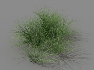 mountain plants - flowers 03 Modelo 3D