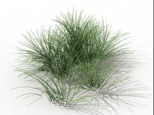 mountain plants - flowers 03 3D 모델