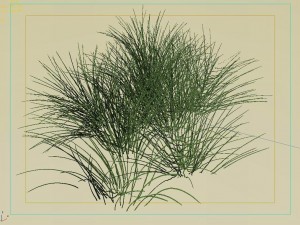 mountain plants - flowers 03 3D 모델
