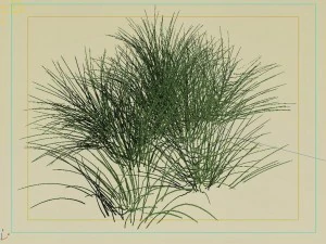 mountain plants - flowers 03 3D Model