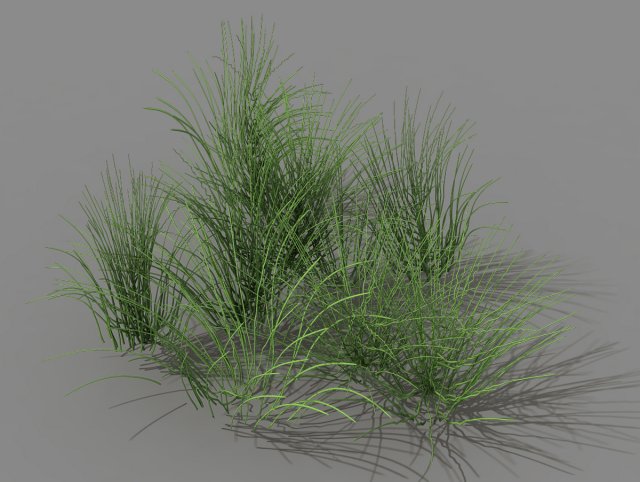 mountain plants - flowers 04 Model 3D .c4d .max .obj .3ds .fbx .stl .blend