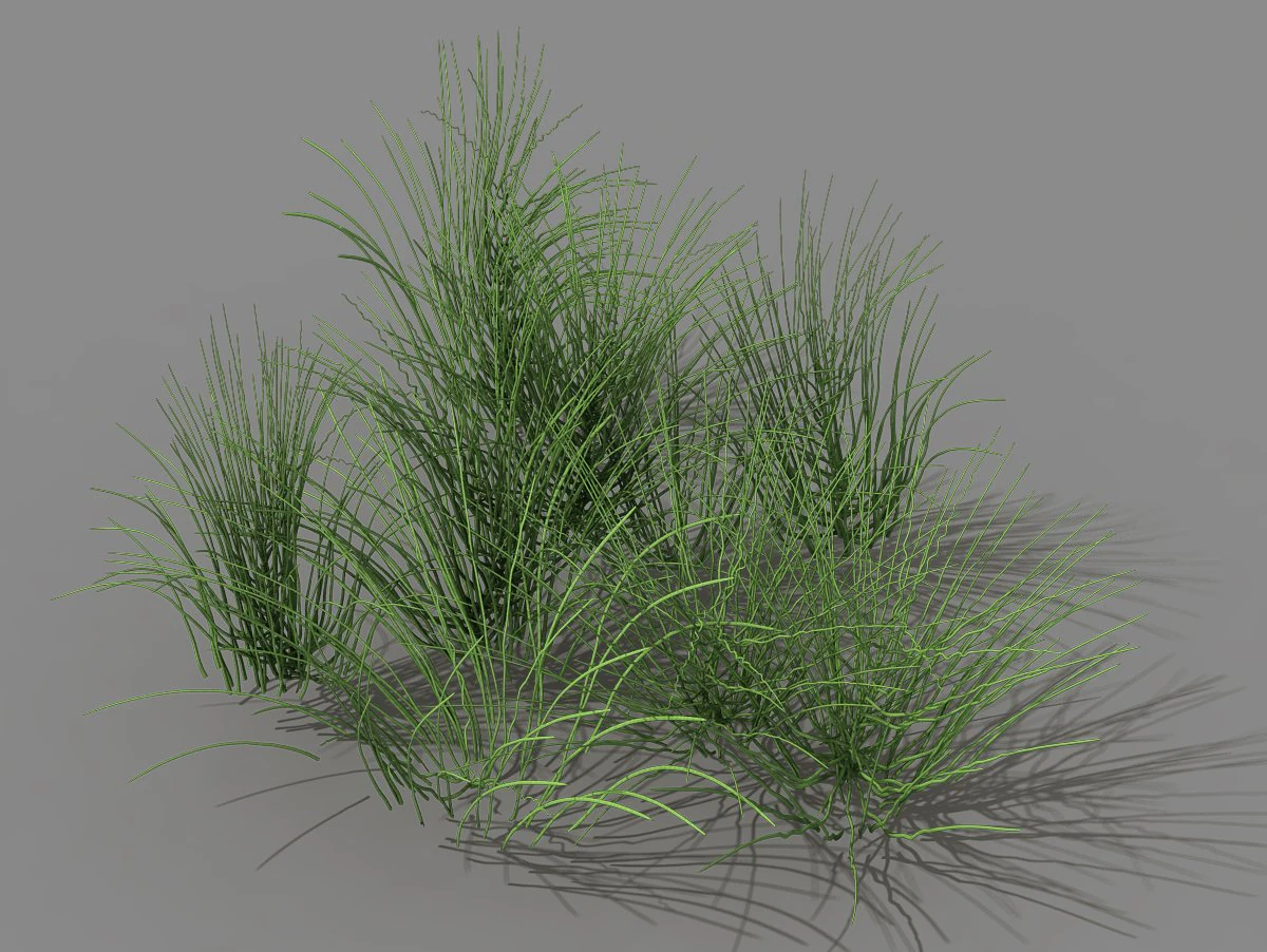 mountain plants - flowers 04 3D Model .c4d .max .obj .3ds .fbx .stl .blend 