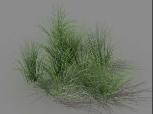 mountain plants - flowers 04 3D Model