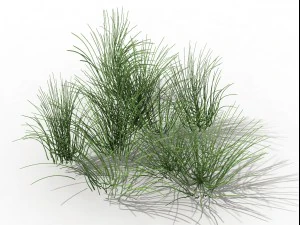mountain plants - flowers 04 3D Model
