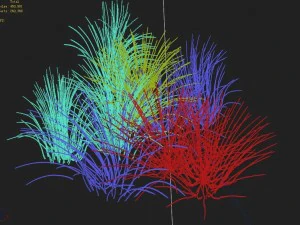 mountain plants - flowers 04 3D Model