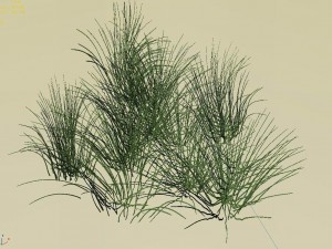 mountain plants - flowers 04 Model 3D
